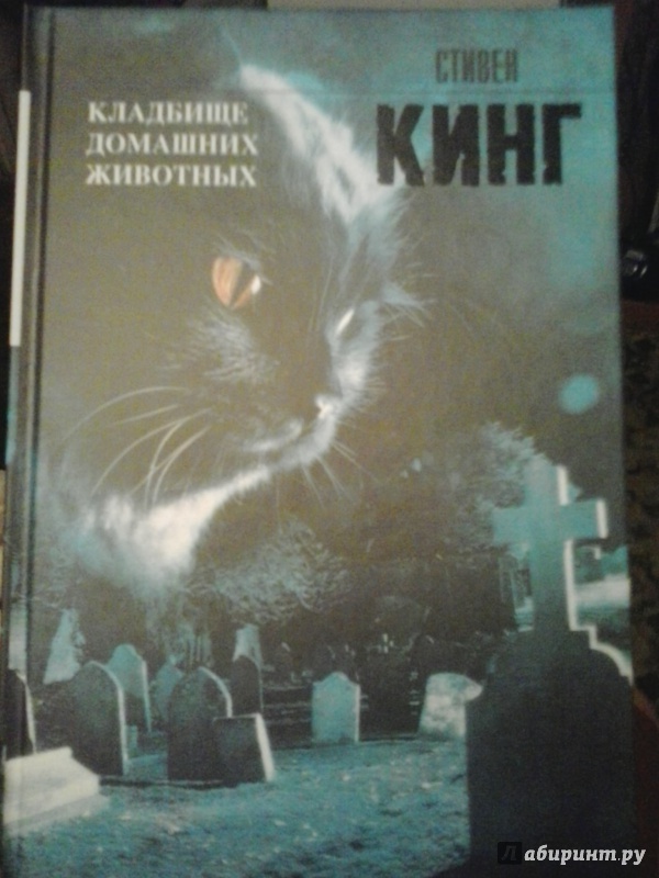 Иллюстрация 20 из 29 для Кладбище домашних животных - Стивен Кинг | Лабиринт - книги. Источник: Елизавета