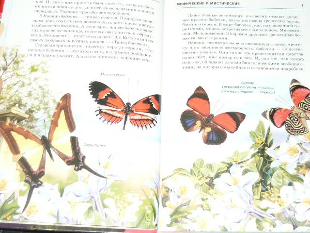 Иллюстрация 3 из 29 для Бабочки - Юлия Дунаева | Лабиринт - книги. Источник: Ромашка:-)