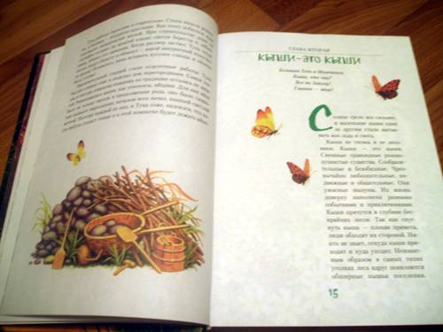 Иллюстрация 6 из 82 для Большой Кыш: Сказка - Мила Блинова | Лабиринт - книги. Источник: Galia