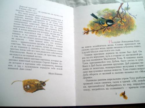 Иллюстрация 1 из 10 для Птичка Сяпа: Повесть-сказка - Мила Блинова | Лабиринт - книги. Источник: Galia