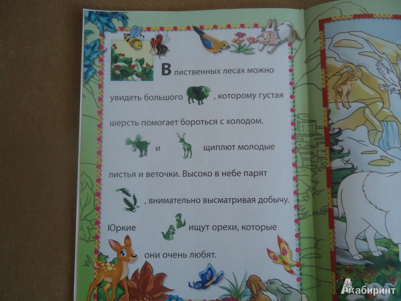 Иллюстрация 3 из 11 для Животные в лесу | Лабиринт - книги. Источник: Романовский  Владимир Игоревич