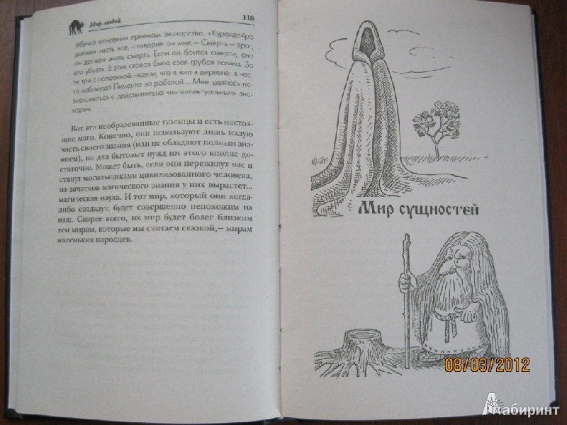 Иллюстрация 7 из 16 для Тайны магии и колдовства - Лаванда Нимбрук | Лабиринт - книги. Источник: Гилева  Любовь Валерьевна