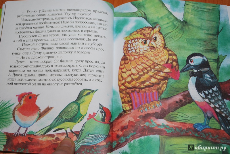 Иллюстрация 23 из 30 для Сказки почемучки. Лесной календарь - Тамара Крюкова | Лабиринт - книги. Источник: Нади