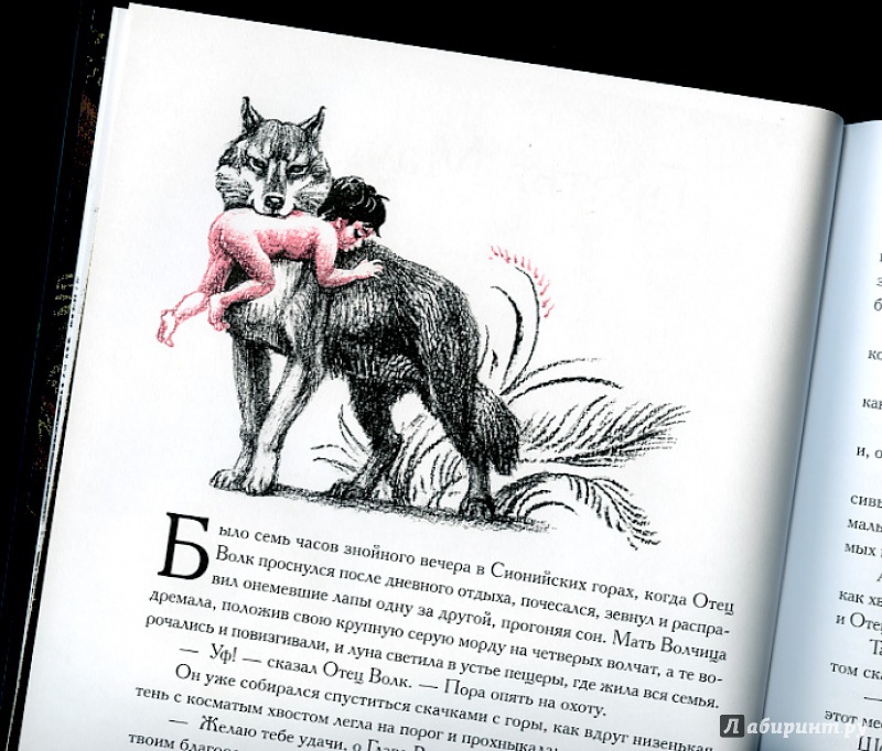 Иллюстрация 24 из 32 для Маугли - Редьярд Киплинг | Лабиринт - книги. Источник: Издательство Речь