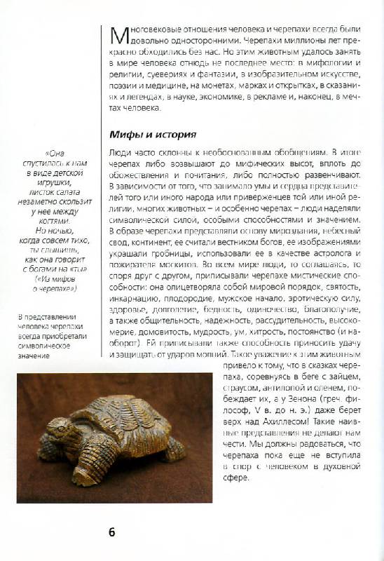 Иллюстрация 9 из 35 для Сухопутные черепахи - Райнер Прашага | Лабиринт - книги. Источник: Росинка