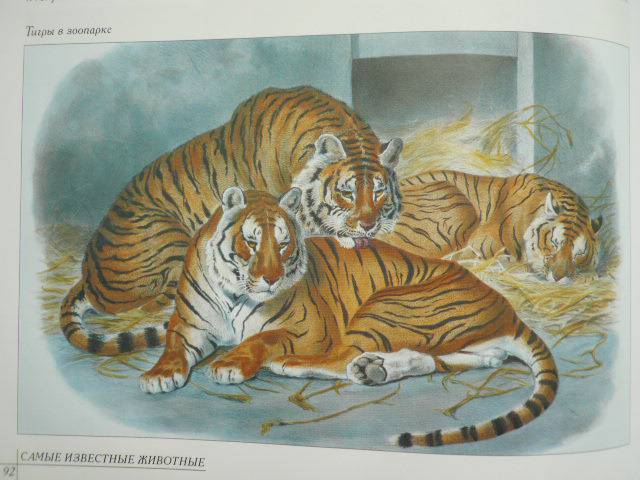 Иллюстрация 51 из 52 для Самые известные животные | Лабиринт - книги. Источник: Nadezhda_S
