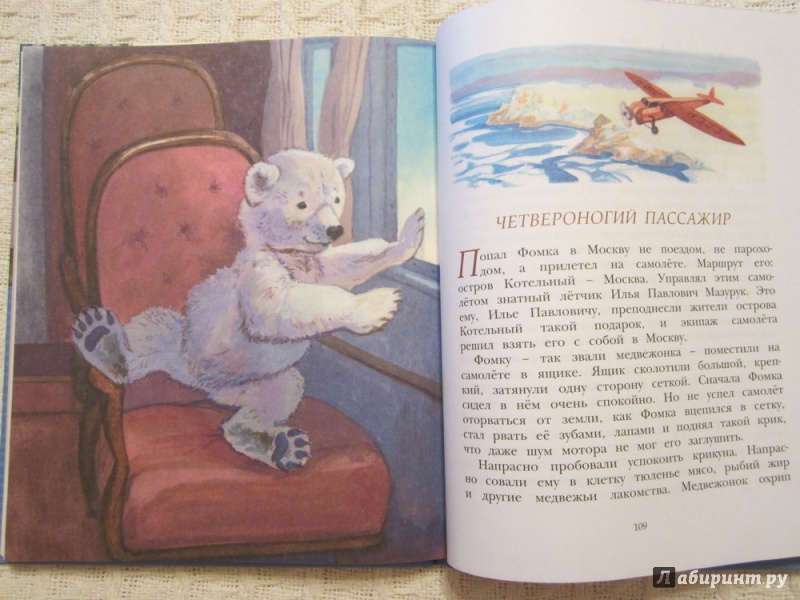 Иллюстрация 38 из 43 для Фомка - белый медвежонок - Вера Чаплина | Лабиринт - книги. Источник: ЮлияО