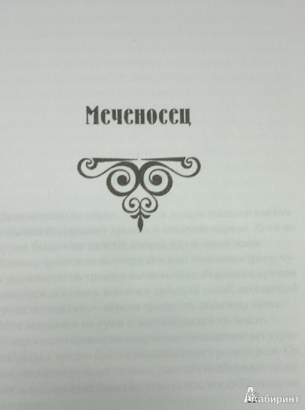 Иллюстрация 5 из 8 для Меченосец - Глен Кук | Лабиринт - книги. Источник: Леонид Сергеев