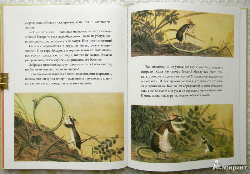Иллюстрация 25 из 32 для Мышонок заблудился - Нина Павлова | Лабиринт - книги. Источник: Раскова  Юлия