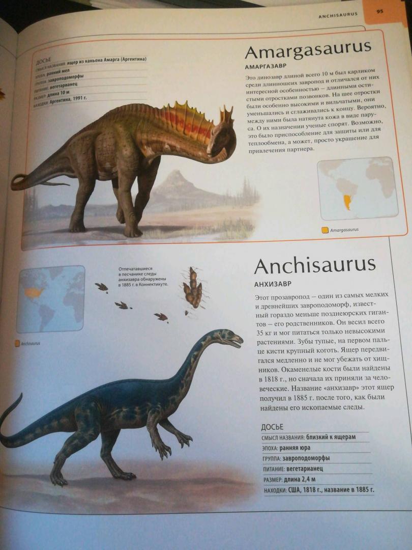 Иллюстрация 49 из 109 для Динозавры. Иллюстрированный атлас - Майкл Бретт-Шуман | Лабиринт - книги. Источник: Трофимова Юлия
