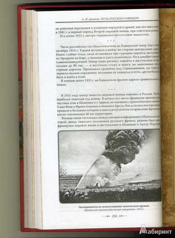 Иллюстрация 8 из 25 для Путь русского офицера - Антон Деникин | Лабиринт - книги. Источник: Колхозstyle