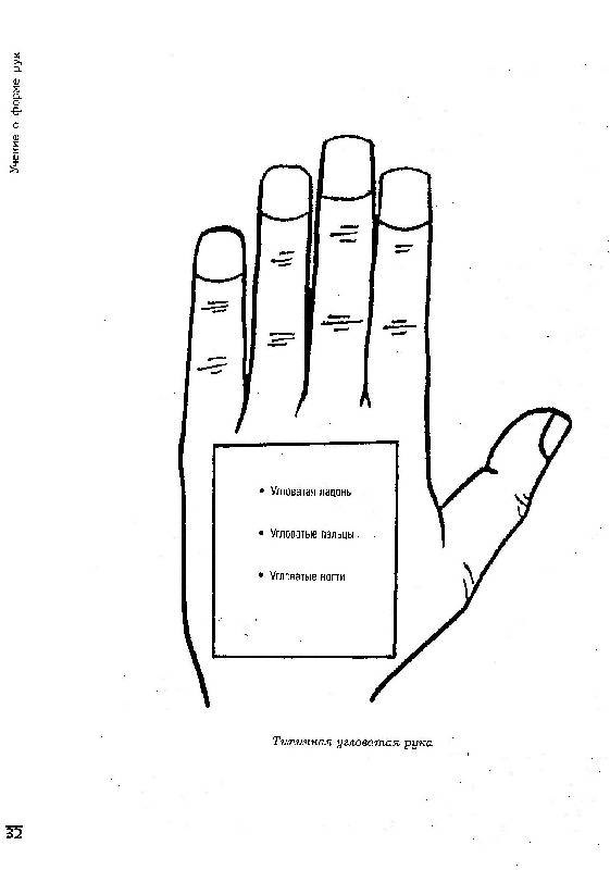 Иллюстрация 14 из 15 для Хиромантия: диагностика личности по руке - Гертруд Хюрлиманн | Лабиринт - книги. Источник: GallaL