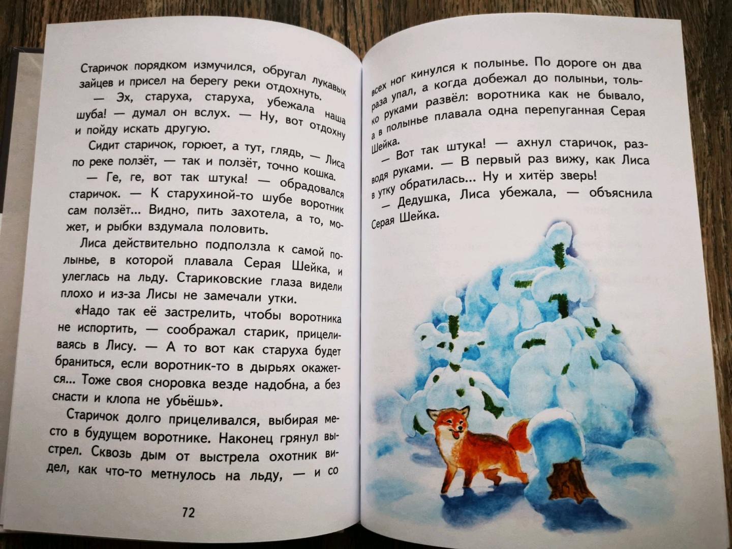Иллюстрация 33 из 62 для Медведко - Дмитрий Мамин-Сибиряк | Лабиринт - книги. Источник: Пескова Алла