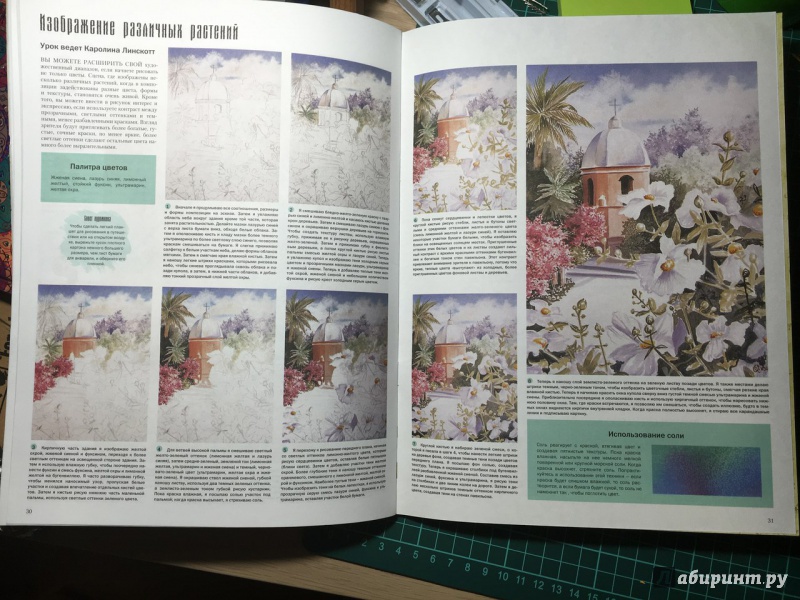 Иллюстрация 12 из 14 для Цветы и растения - Лискотт, Мидвей, Фудерич | Лабиринт - книги. Источник: YanaBoeva