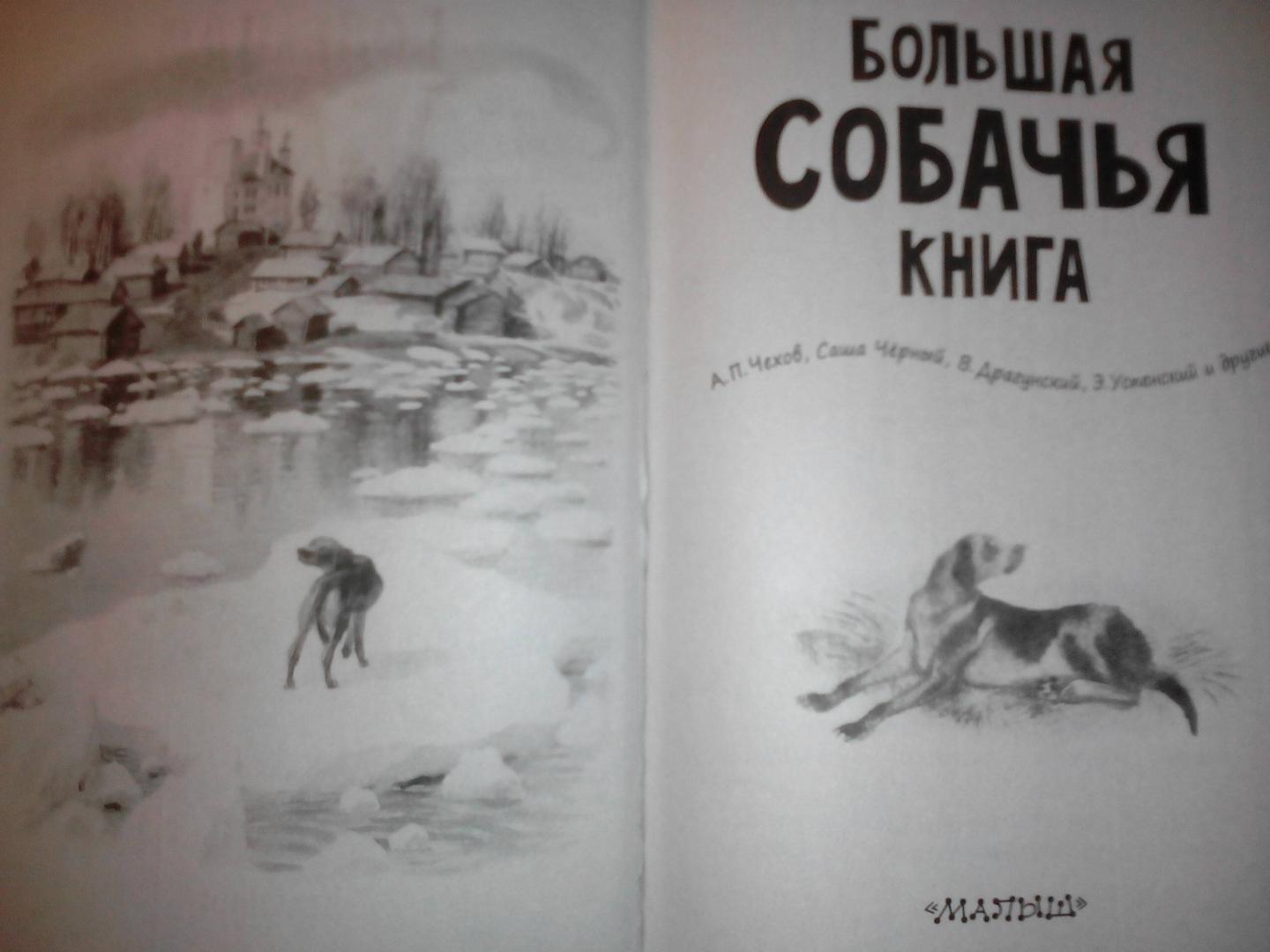 Иллюстрация 9 из 19 для Большая собачья книга - Чехов, Драгунский, Черный | Лабиринт - книги. Источник: Харина  Елена