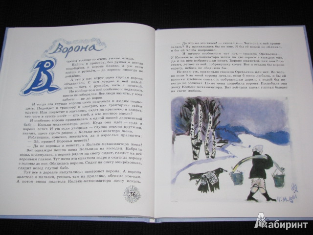 Иллюстрация 45 из 48 для Снег - Юрий Коваль | Лабиринт - книги. Источник: Nemertona