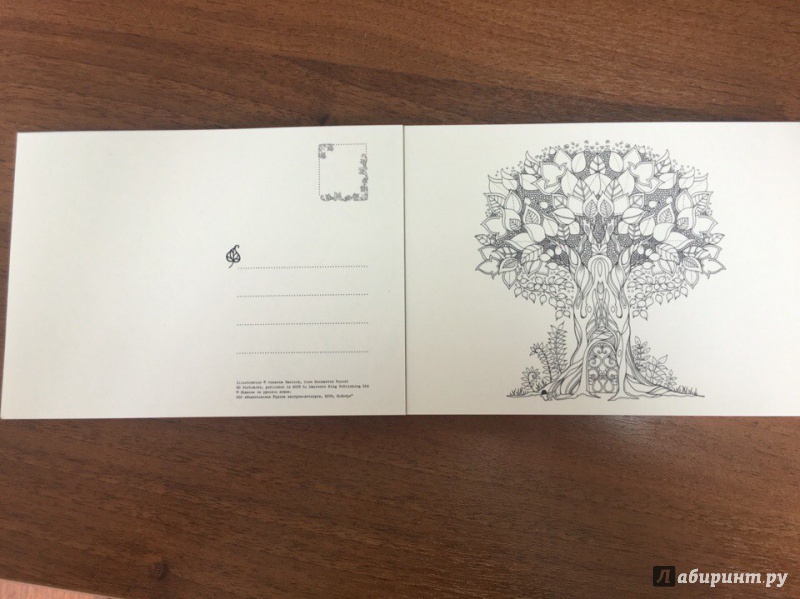 Иллюстрация 15 из 15 для Зачарованный лес. 20 художественных открыток - Джоанна Бэсфорд | Лабиринт - сувениры. Источник: Лабиринт