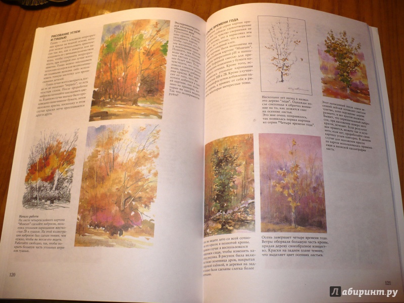 Иллюстрация 45 из 61 для Деревья - Стенли Молцмен | Лабиринт - книги. Источник: Голиков  Сергей Юрьевич