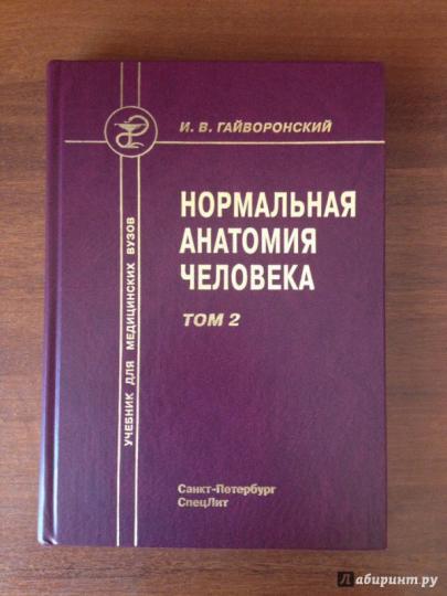 Анатомия учебник гайворонский