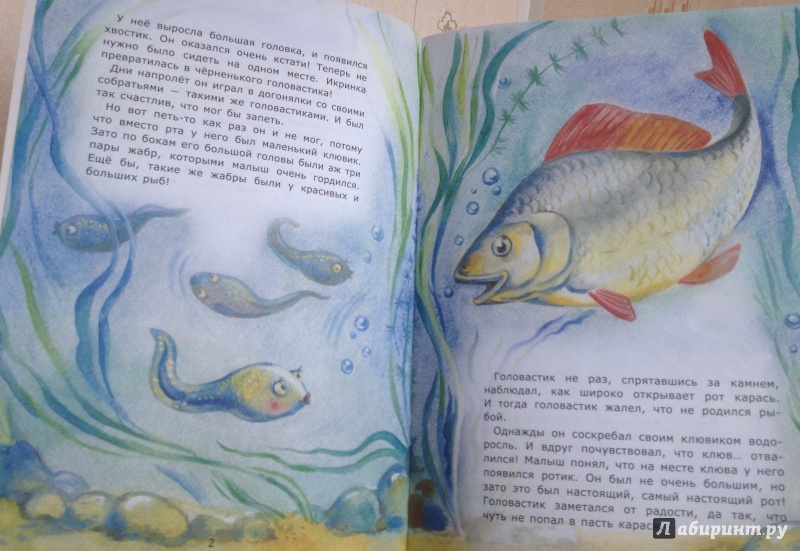Иллюстрация 14 из 16 для Рождение лягушонка - Лариса Тарасенко | Лабиринт - книги. Источник: arawacus