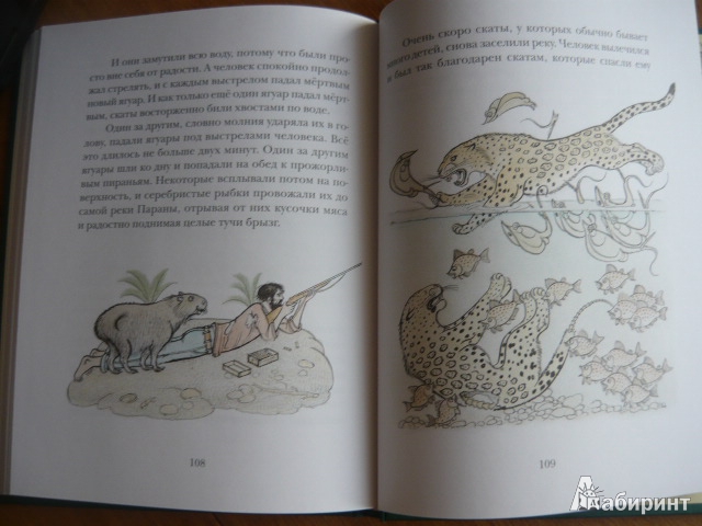 Иллюстрация 53 из 73 для Сказки сельвы: сказки о животных - Орасио Кирога | Лабиринт - книги. Источник: Ladymosquito