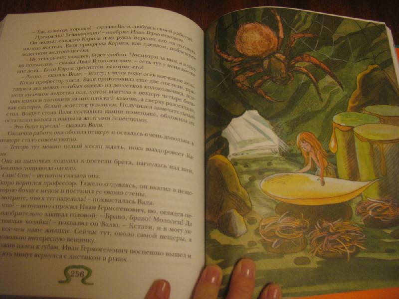 Иллюстрация 86 из 86 для Необыкновенные приключения Карика и Вали - Ян Ларри | Лабиринт - книги. Источник: К Л Я К С А