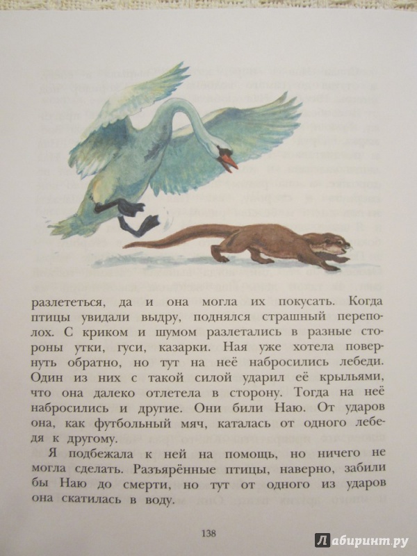Иллюстрация 30 из 43 для Фомка - белый медвежонок - Вера Чаплина | Лабиринт - книги. Источник: ЮлияО