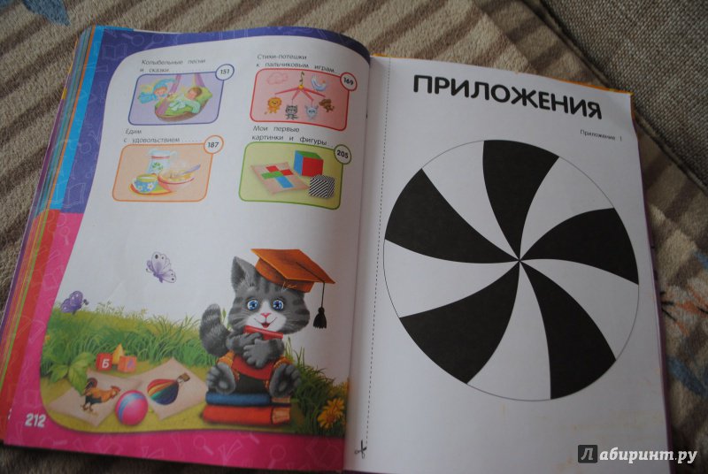Иллюстрация 63 из 107 для Годовой курс занятий: для детей от рождения до года (+CD) - Далидович, Мазаник, Цивилько | Лабиринт - книги. Источник: Наталья