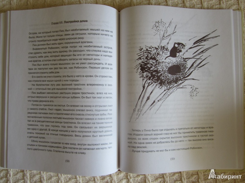 Иллюстрация 13 из 17 для Лесные были и небылицы - Виталий Бианки | Лабиринт - книги. Источник: ЮлияО