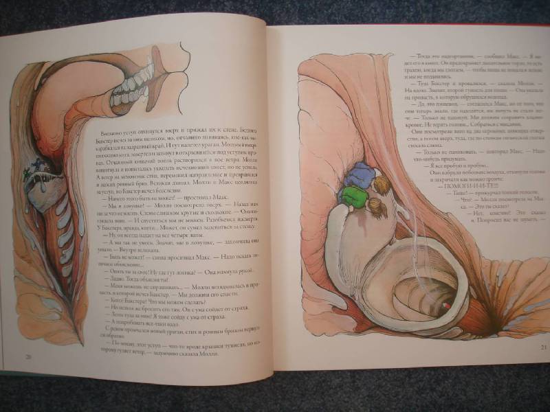 Иллюстрация 23 из 60 для Тайны анатомии - Кэрол Доннер | Лабиринт - книги. Источник: Сорокина  Лариса
