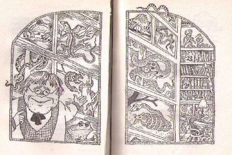 Иллюстрация 13 из 13 для Змеиный зал - Лемони Сникет | Лабиринт - книги. Источник: In@
