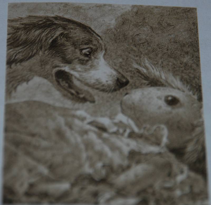 Иллюстрация 92 из 114 для Удивительное путешествие кролика Эдварда - Кейт ДиКамилло | Лабиринт - книги. Источник: МаRUSя