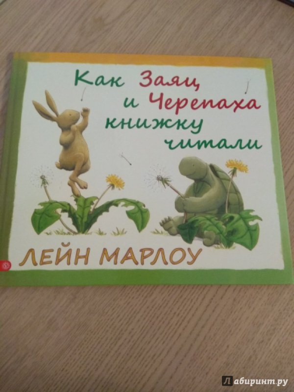 Заяц и черепаха читать. Черепаха и заяц книга. Читать книгу черепаха заяц. Как заяц и черепаха книжку читали. Обложка книги сказка зайце и черепахе.