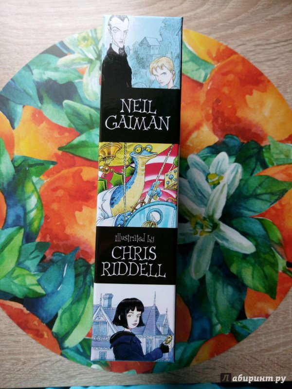 Иллюстрация 46 из 55 для Neil Gaiman & Chris Riddell 3-book Box Set - Neil Gaiman | Лабиринт - книги. Источник: fi