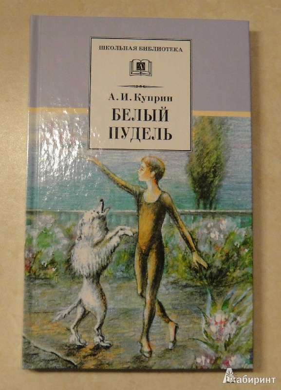 нам белый пудель картинка обложка книги сожалению