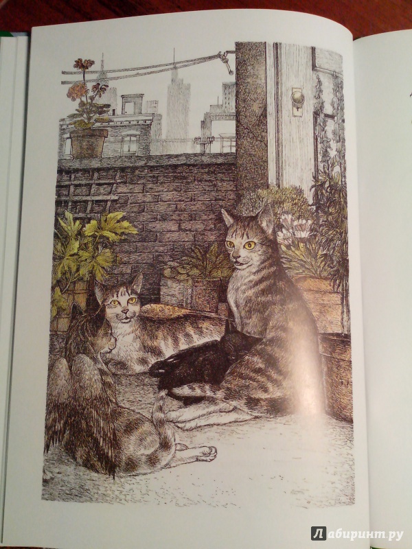 Иллюстрация 13 из 38 для Крылатые кошки возвращаются - Гуин Ле | Лабиринт - книги. Источник: Аболяева  Ирина