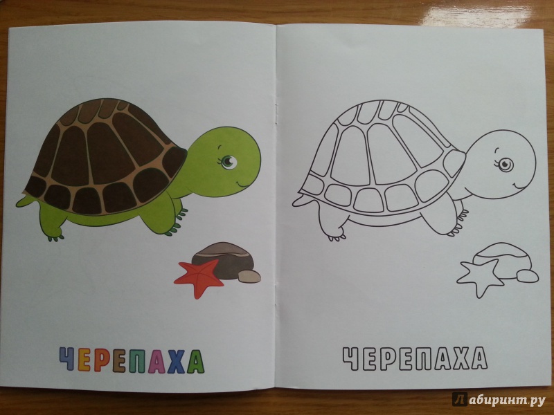 Иллюстрация 2 из 8 для Раскраска для малышей Морские животные | Лабиринт - книги. Источник: Иванова  Наталья
