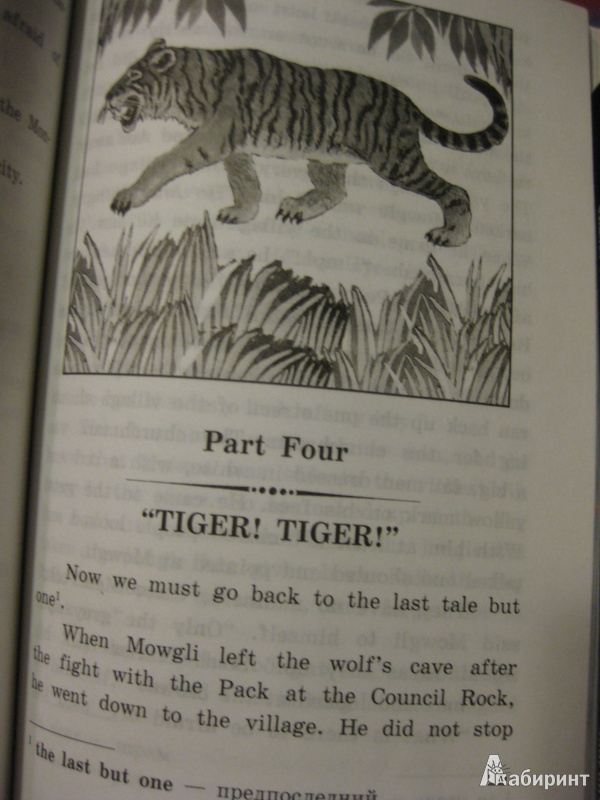 Иллюстрация 16 из 28 для Книга джунглей (на английском языке) - Редьярд Киплинг | Лабиринт - книги. Источник: White lady