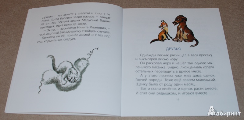 Иллюстрация 12 из 45 для Пищик - Евгений Чарушин | Лабиринт - книги. Источник: Книжный кот