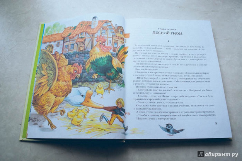 Иллюстрация 28 из 50 для Чудесное путешествие Нильса с дикими гусями - Сельма Лагерлеф | Лабиринт - книги. Источник: Ekatterina