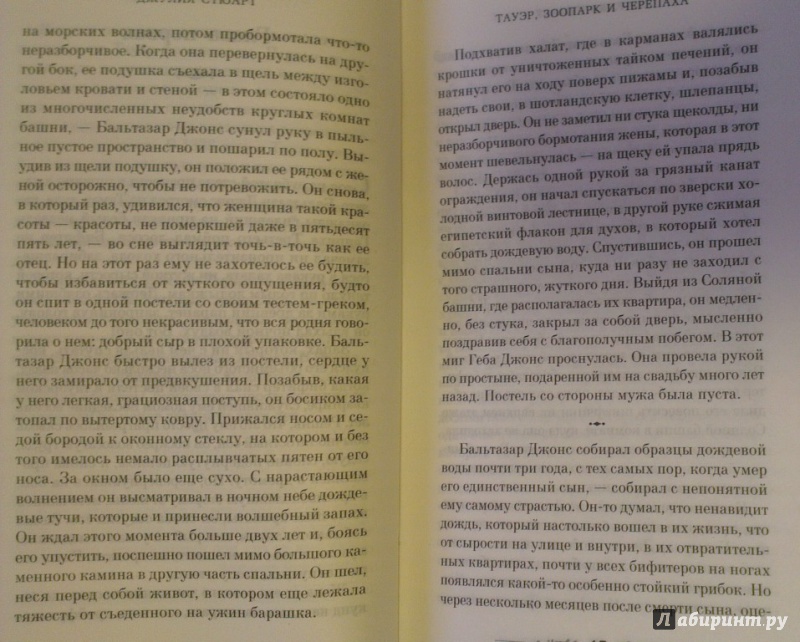 Иллюстрация 6 из 42 для Тауэр, зоопарк и черепаха - Джулия Стюарт | Лабиринт - книги. Источник: Katty