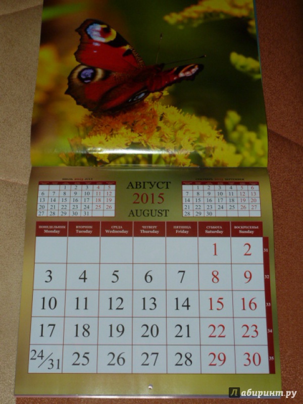 Иллюстрация 9 из 15 для Календарь 2015. Бабочки (12 листов) | Лабиринт - сувениры. Источник: elenak