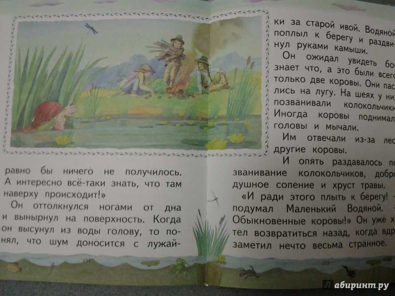 Иллюстрация 20 из 25 для Маленький водяной - Отфрид Пройслер | Лабиринт - книги. Источник: Olga