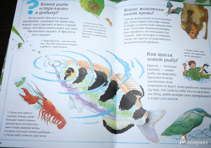 Иллюстрация 15 из 17 для Мир животных | Лабиринт - книги. Источник: Торос  Анна Ивановна