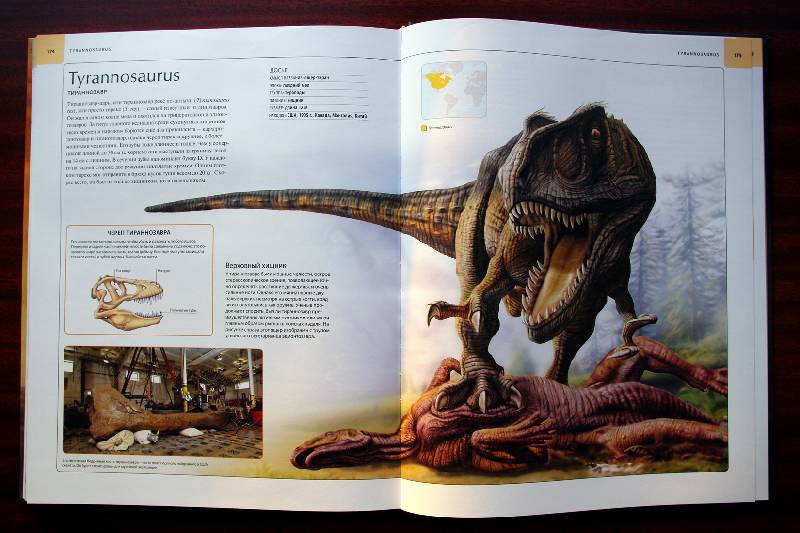 Иллюстрация 103 из 109 для Динозавры. Иллюстрированный атлас - Майкл Бретт-Шуман | Лабиринт - книги. Источник: Валерия
