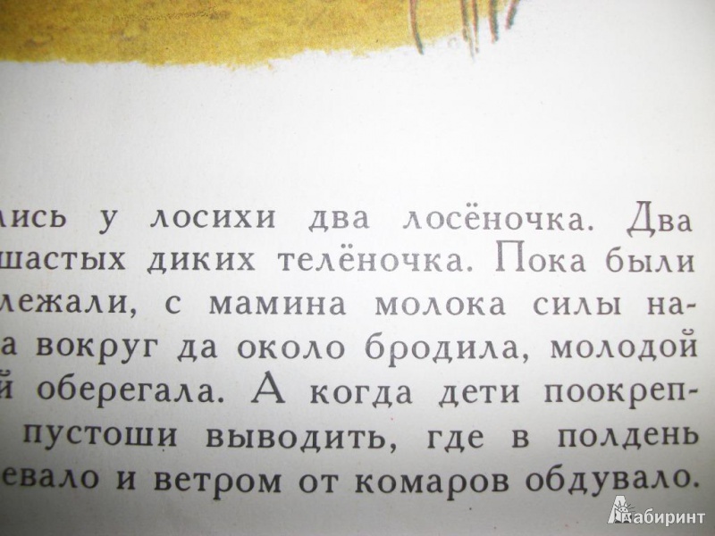 Иллюстрация 12 из 27 для Как сосна лосяток спасала - Сергей Афоньшин | Лабиринт - книги. Источник: I.Melnik