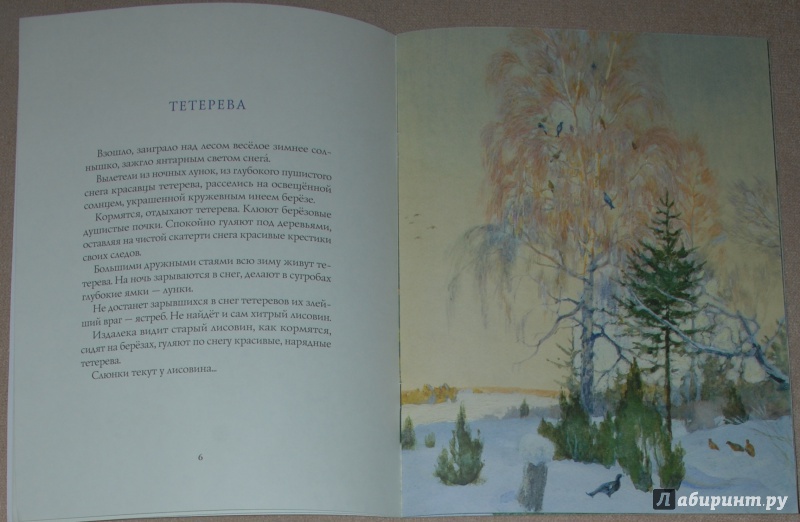 Иллюстрация 44 из 64 для Зима в лесу - Иван Соколов-Микитов | Лабиринт - книги. Источник: Книжный кот