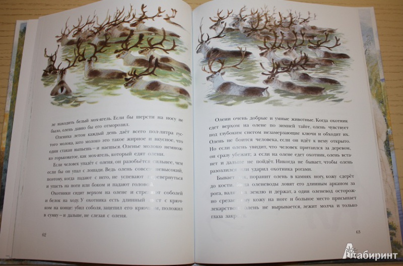 Иллюстрация 42 из 58 для Рассказы о природе, о птицах зверях и разных краях - Геннадий Снегирев | Лабиринт - книги. Источник: КНИЖНОЕ ДЕТСТВО