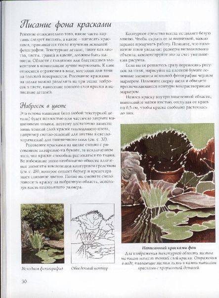 Иллюстрация 23 из 28 для Пейзажи: вышивание на машине: Практическое руководство - Элисон Холт | Лабиринт - книги. Источник: GallaL