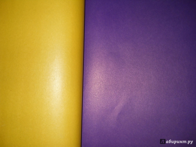 Иллюстрация 4 из 11 для Цветная бумага "Щенок в подсолнухах", А4, 16 листов 8 цветов (33596) | Лабиринт - канцтовы. Источник: Багринцева  Юлия